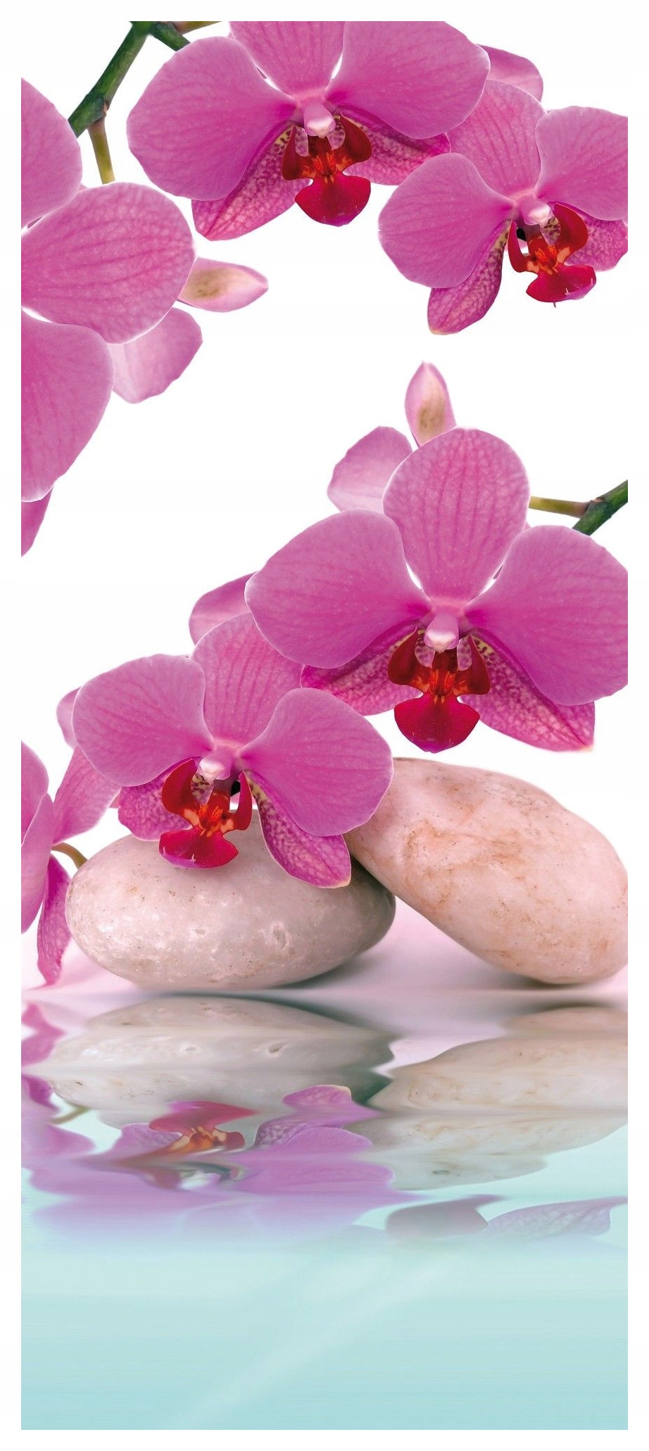 Fototapeta flizelina Růžové orchideje Zen Kameny Voda Relaxace 91x211 lepidlo