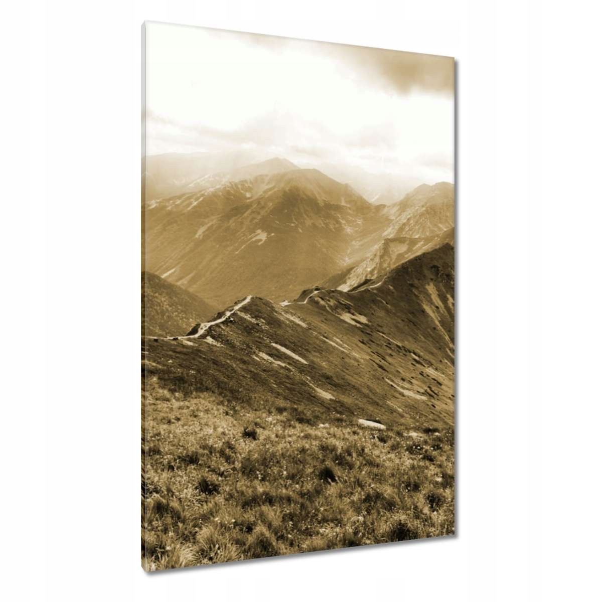 Obrazy 80x120 Tatry Polské hory Pohled