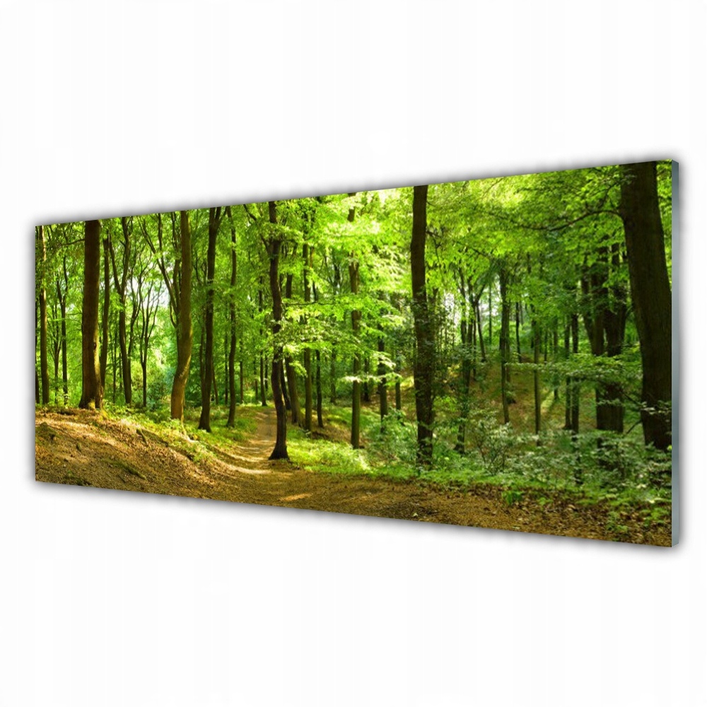 

Obraz wiszący na ścianę 125x50 Las Ścieżka Natura