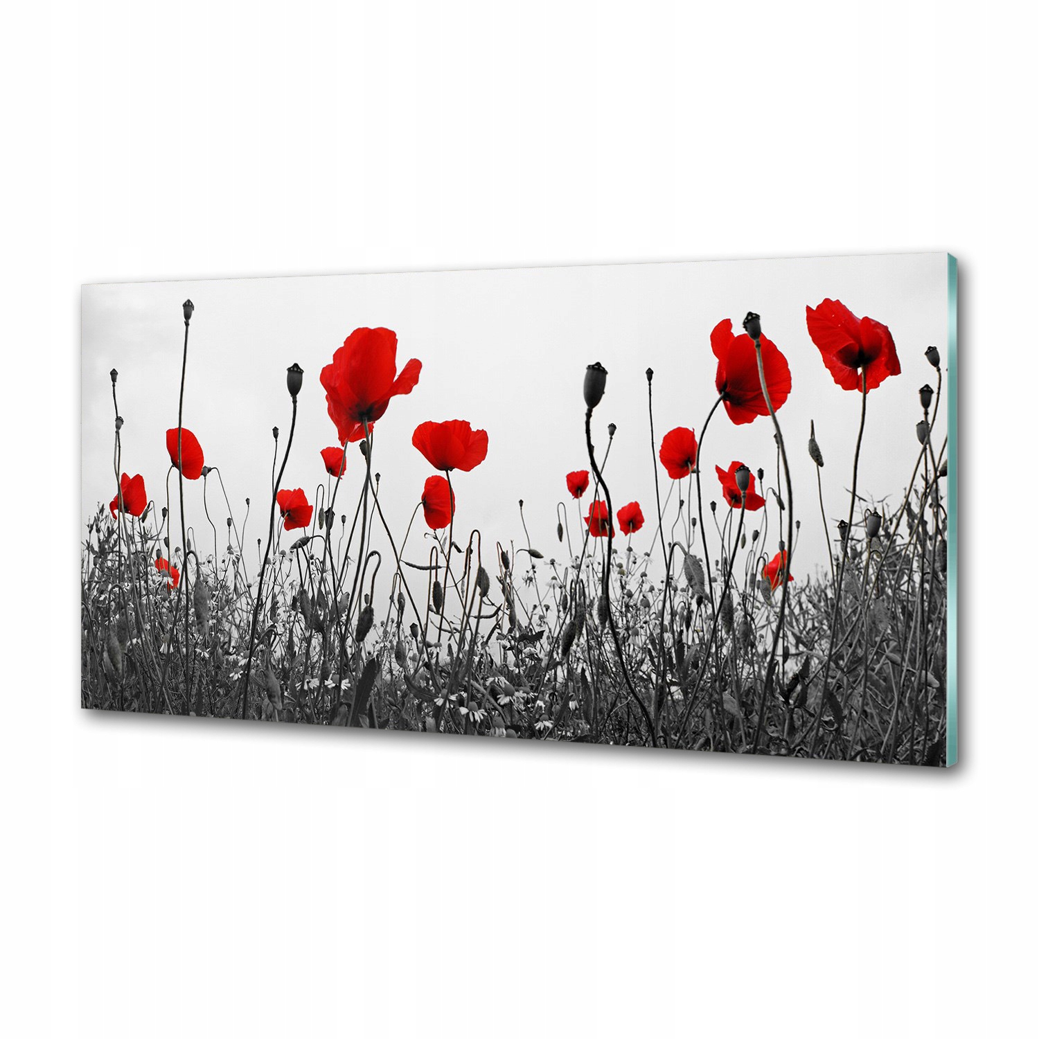Nástenný panel tvrdené sklo Maki 100x50 cm Lepidlo