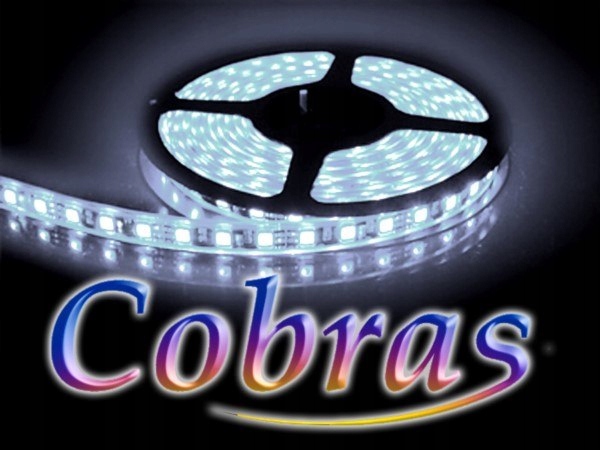 Led pásik Cobras 5050 studená biela 5 m/300diód IP65