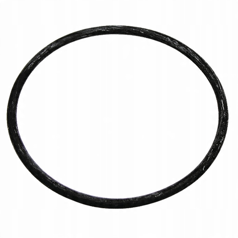 

Uszczelka przyłacza węża 2" 670G10071