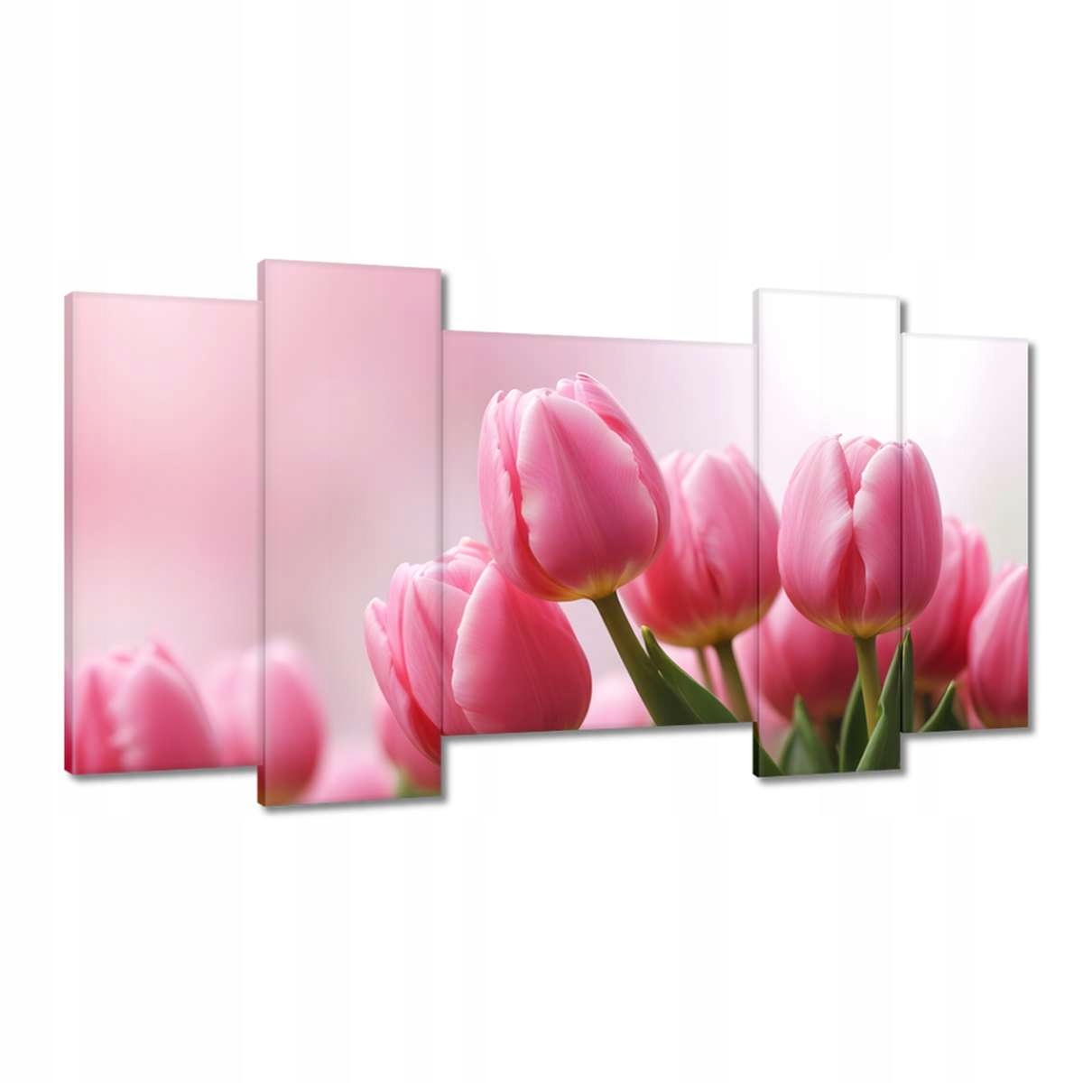Obrazy 120x65 Růžové tulipány