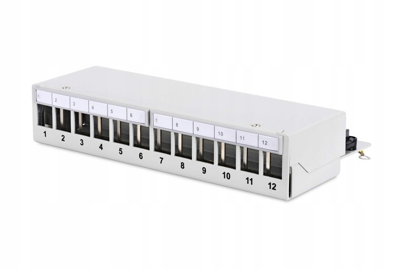 Patch panel RJ45 12 port na Din lištu TH35 Digitus