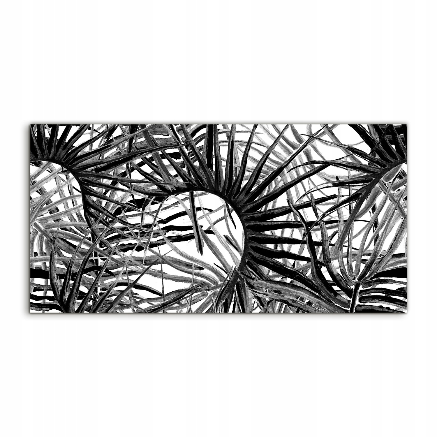 Akrylový obraz 100x50 nástenný Motív Džungľa Leto Les