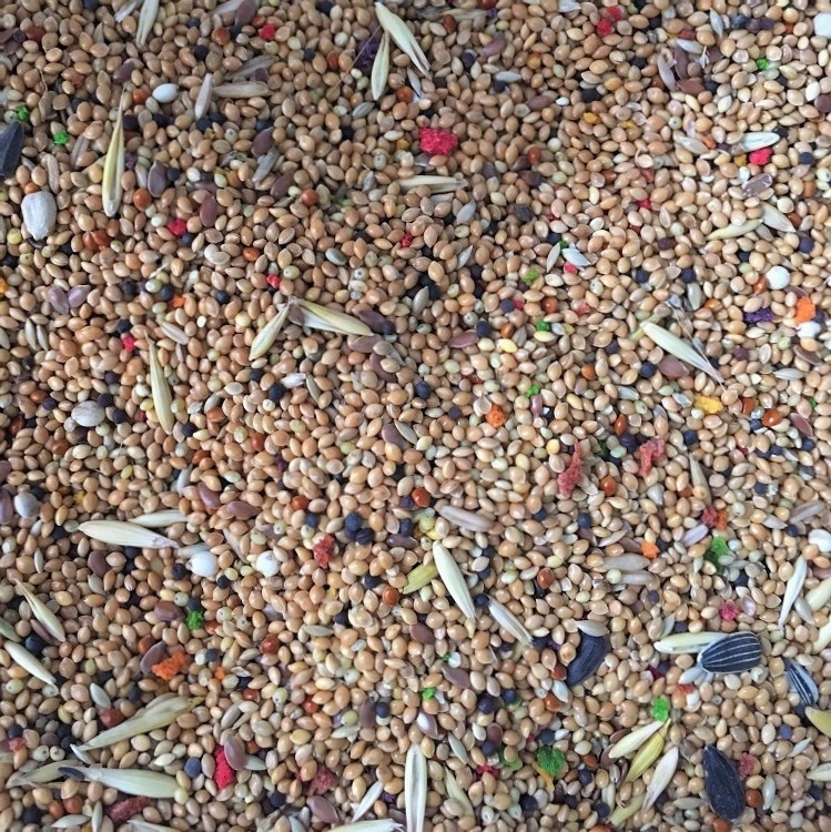 Karma pokarm dla papug falistych, Dako-Art 10l