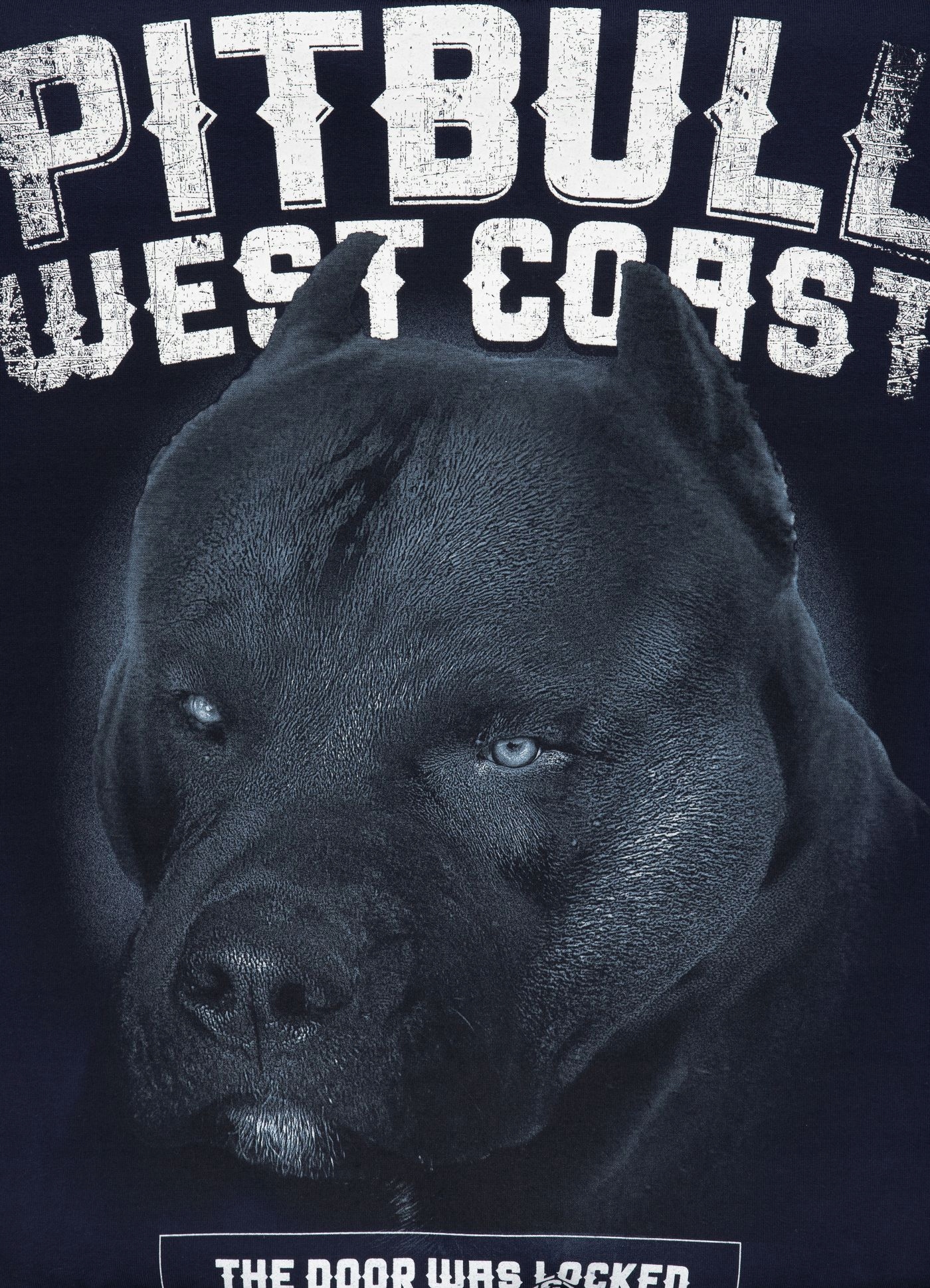 PIT BULL PITBULL Bluza BLACK DOG / S Kolor niebieski