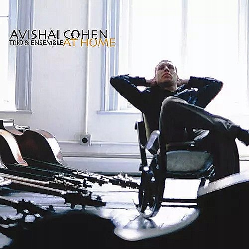 2LP Cohen,avishai Guiliana,mark Tzur,tomer: At Home Standard 2025 editi