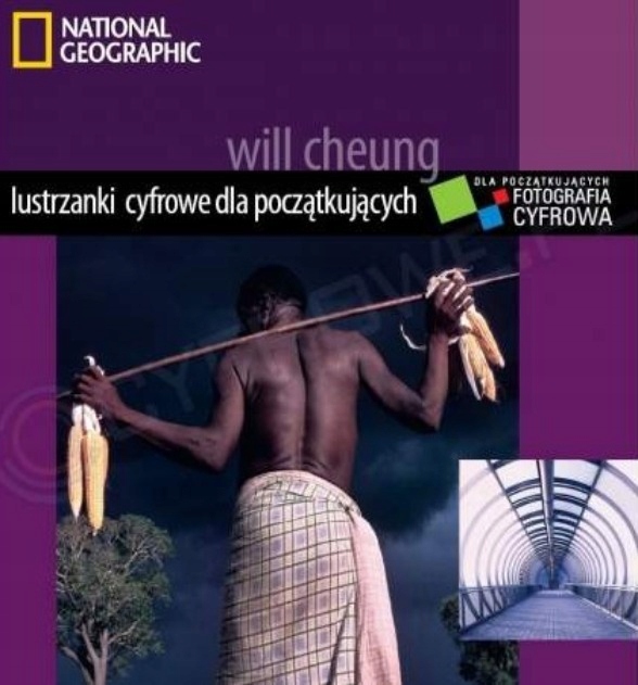 Lustrzanki cyfrowe dla początkujących