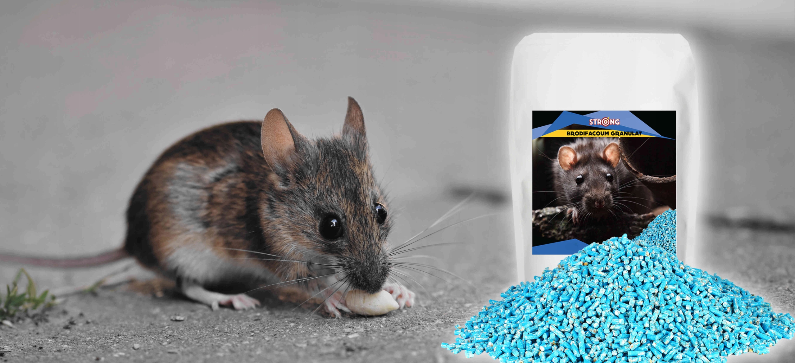 TRUTKA GRANULAT NA SZCZURY I MYSZY STRONG AŻ 25 KG Zastosowanie przeciwko myszom i szczurom