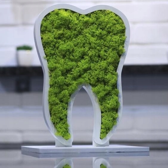 MECH CHROBOTEK RENIFEROWY JASNOZIELONY OZDOBNY 500g FIŃSKI DO STROIKÓW Typ mech