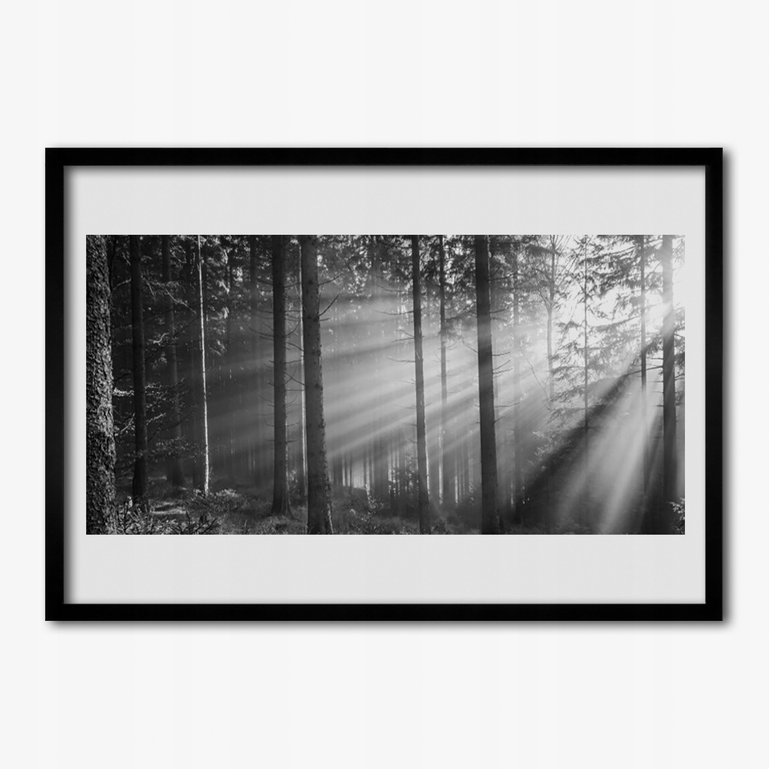 Nástěnný fotoobraz do obývacího pokoje Les slunce 100x70 cm