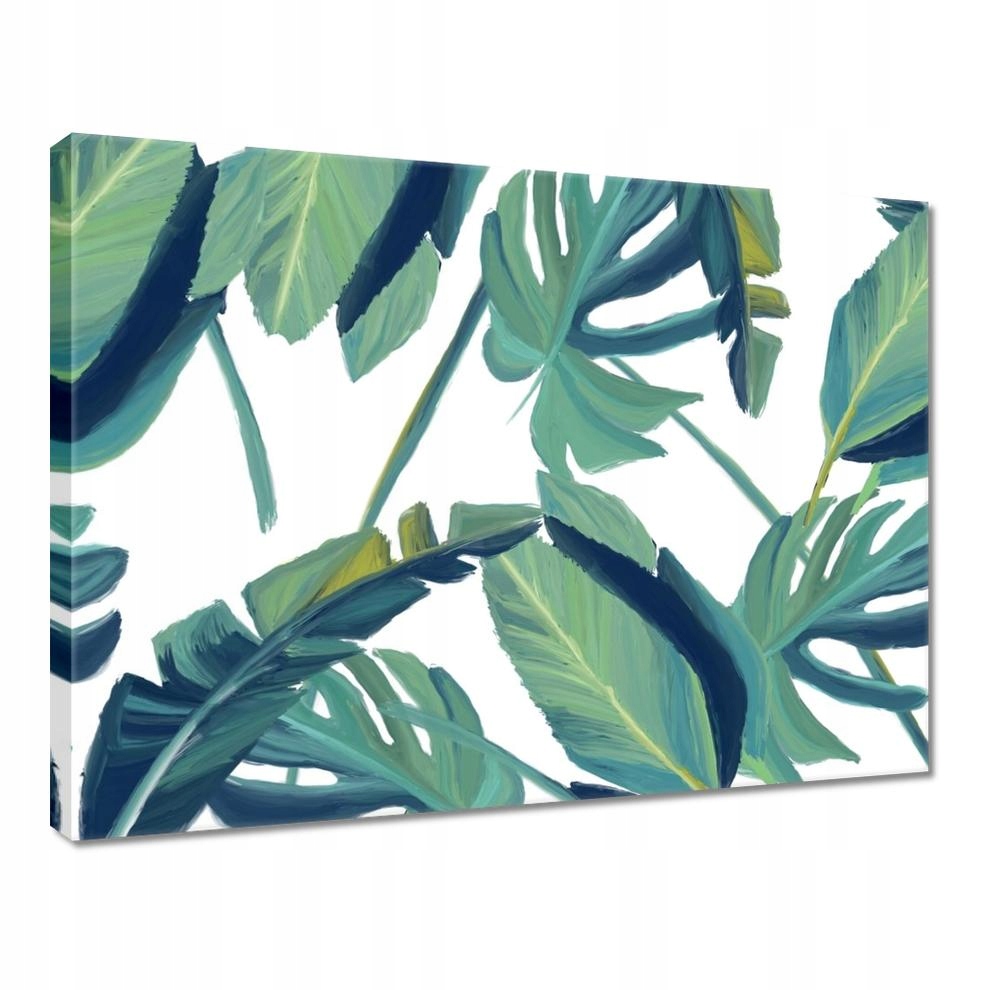 

Obrazy 40x30 Monstera Liście liść