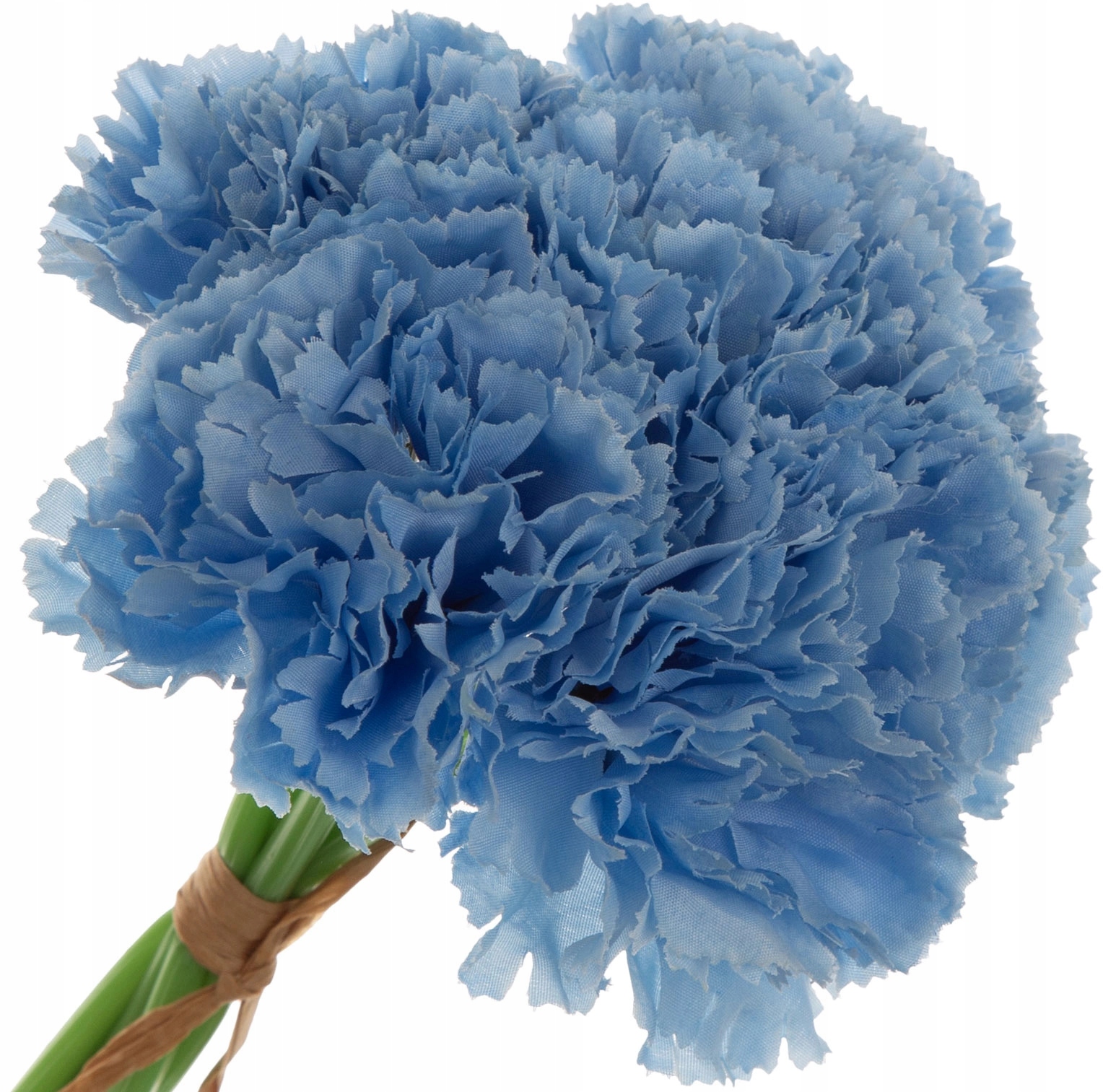 GOŹDZIK NIEBIESKI BUKIET X6 KWIATÓW