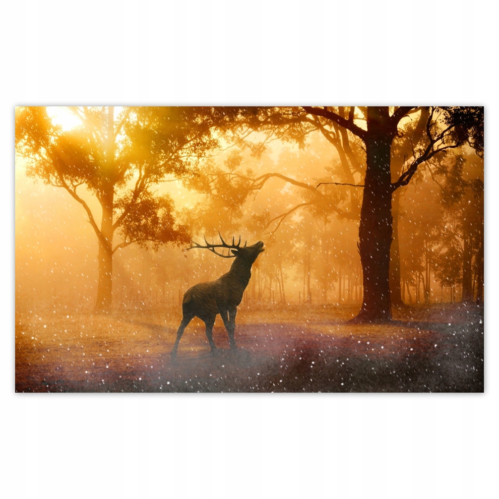 

Fototapety flizelina 416x254 Jeleń w lesie