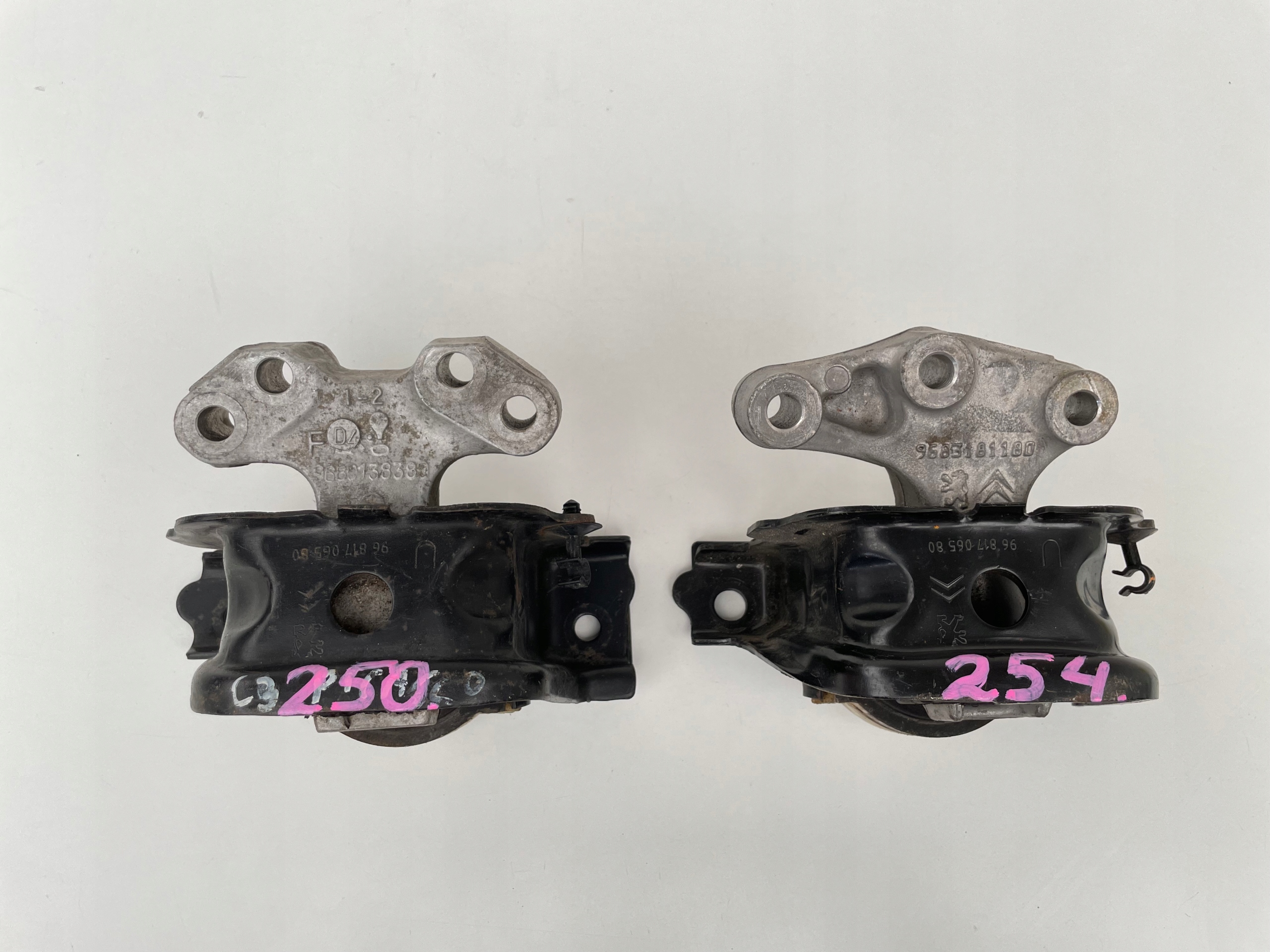 Łapa poduszka silnika Citroen C3 II 9681706580