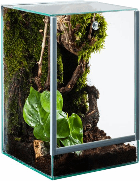 Diversa Terrarium Szklane dla Pająka 20x20x30cm