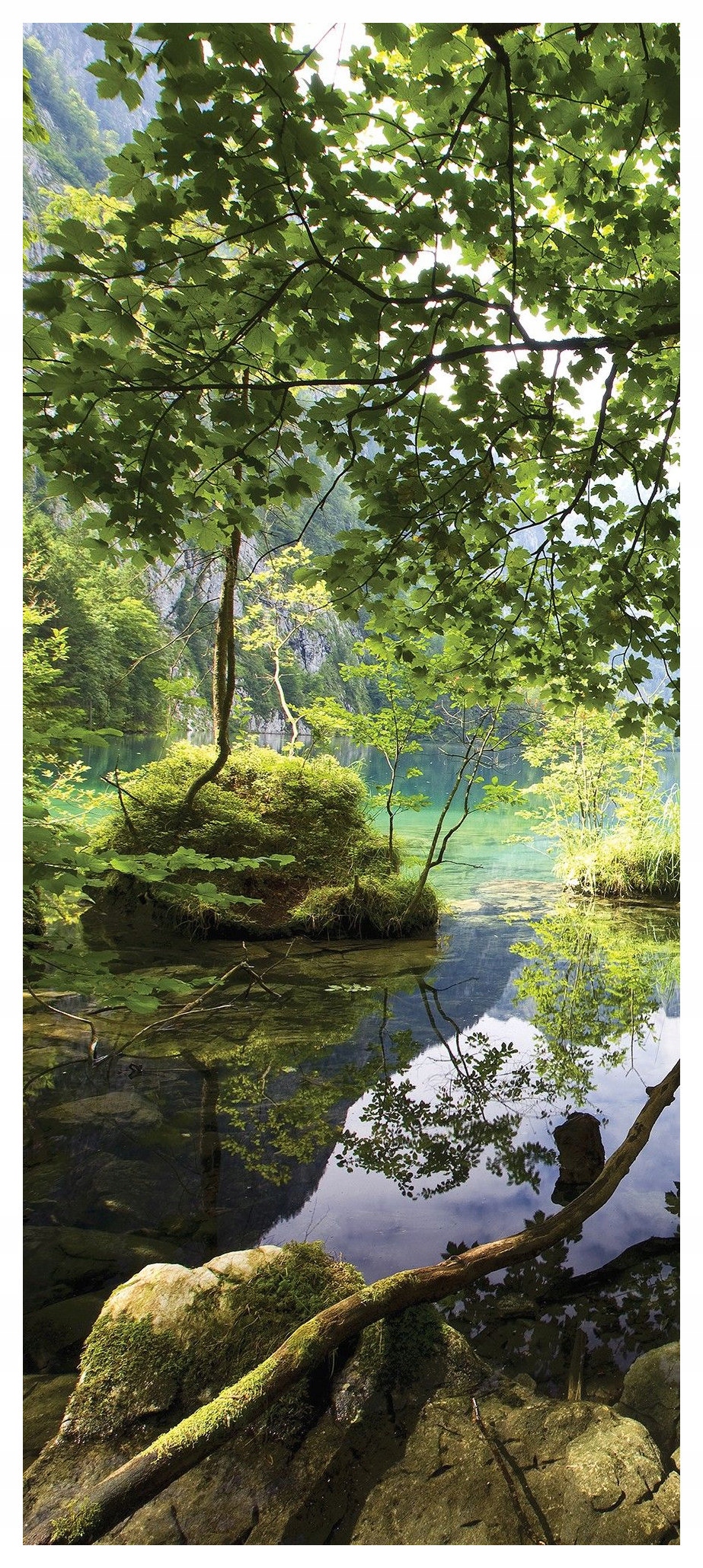 Samolepka Fototapeta Jezero Les Hory Strom Zeleň Mech 91x211