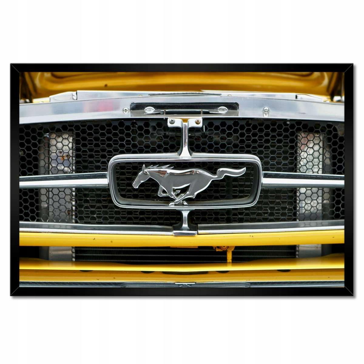 Plakáty v rámu 60x40 Známka Mustanga Ford Usa
