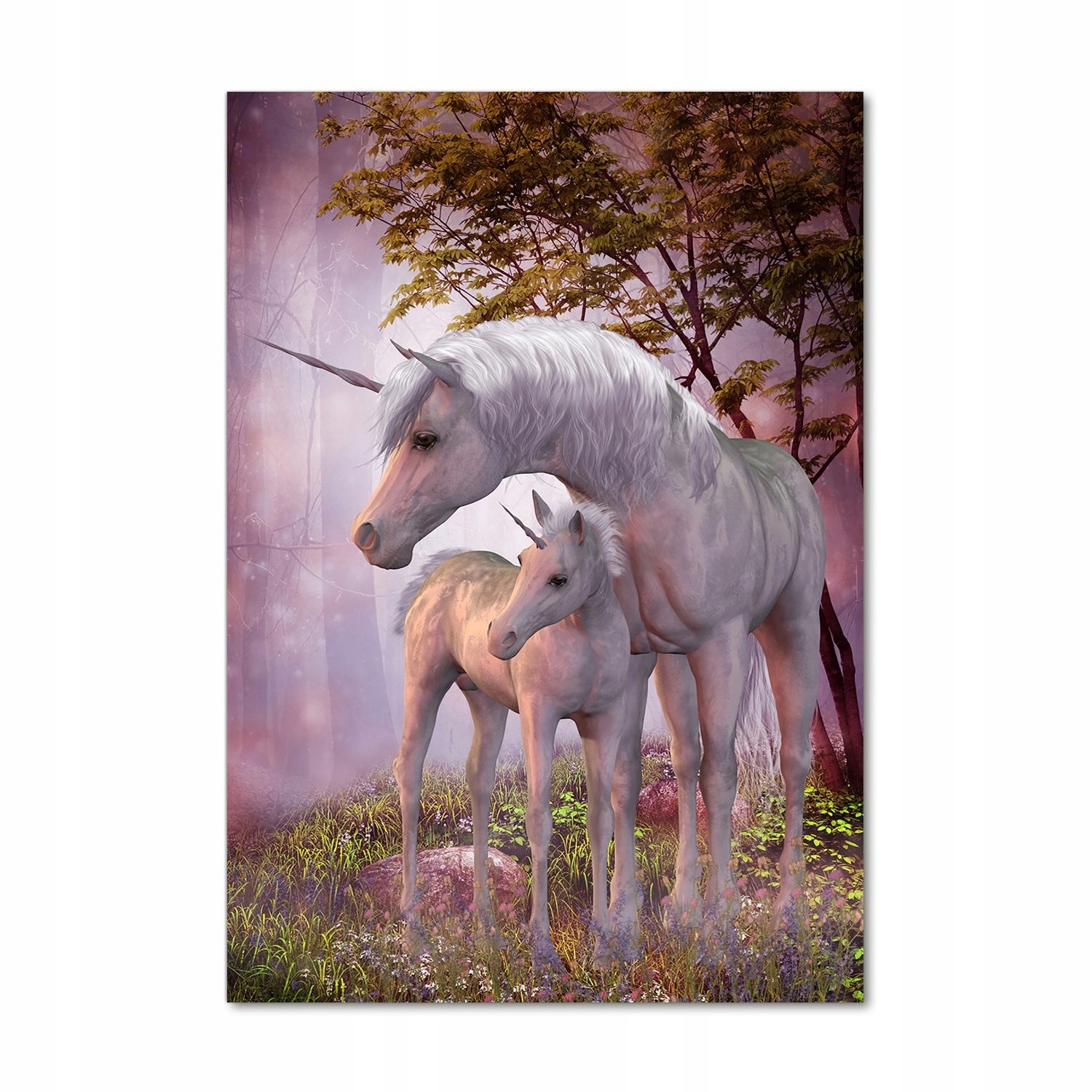 

Foto obraz akrylowy na ścianę Jednorożce 70x100cm
