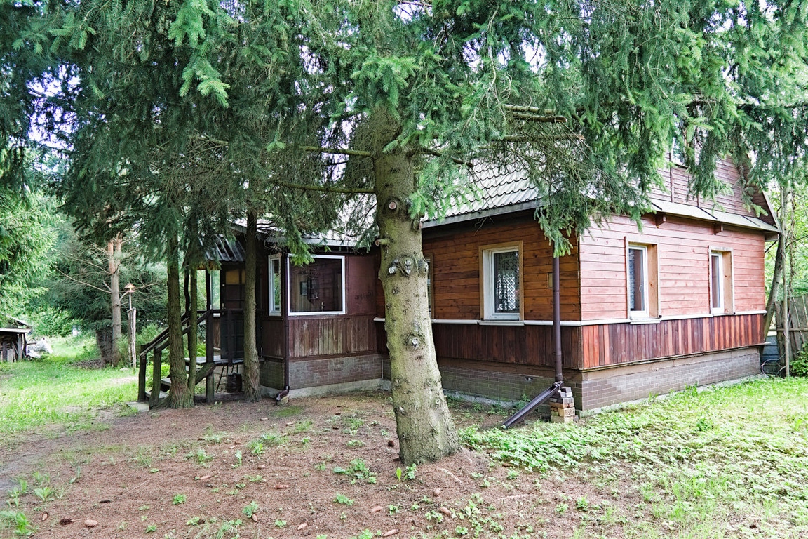 Dom, Białowieża, Białowieża, Hajnowski, 110 m²