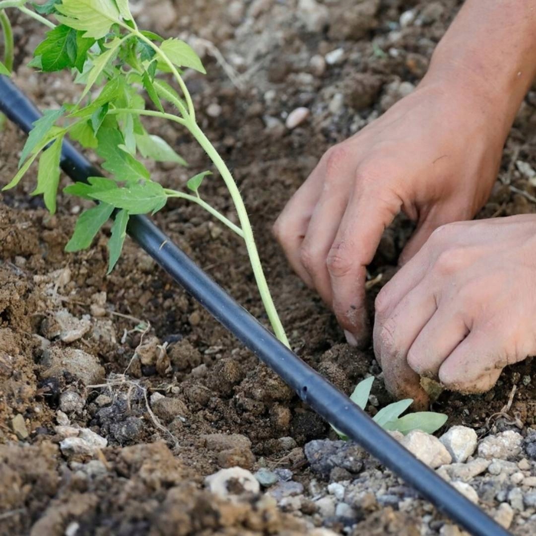 LINIA KROPLUJĄCA NAWODNIENIE KROPELKOWE 100m + Wąż Kropelkujący STEROWNIK Marka inna