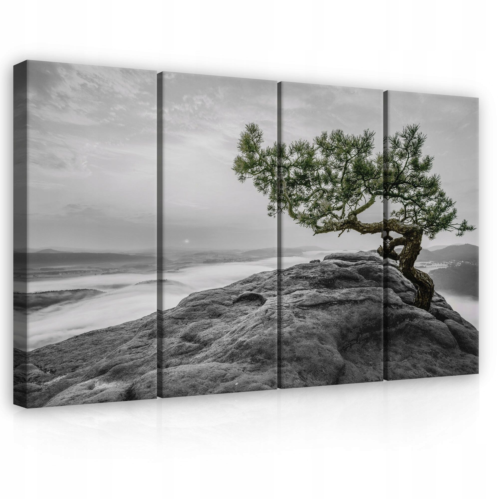 Obraz 120x80 skála strom mlha hory krajina černobílé příroda klid