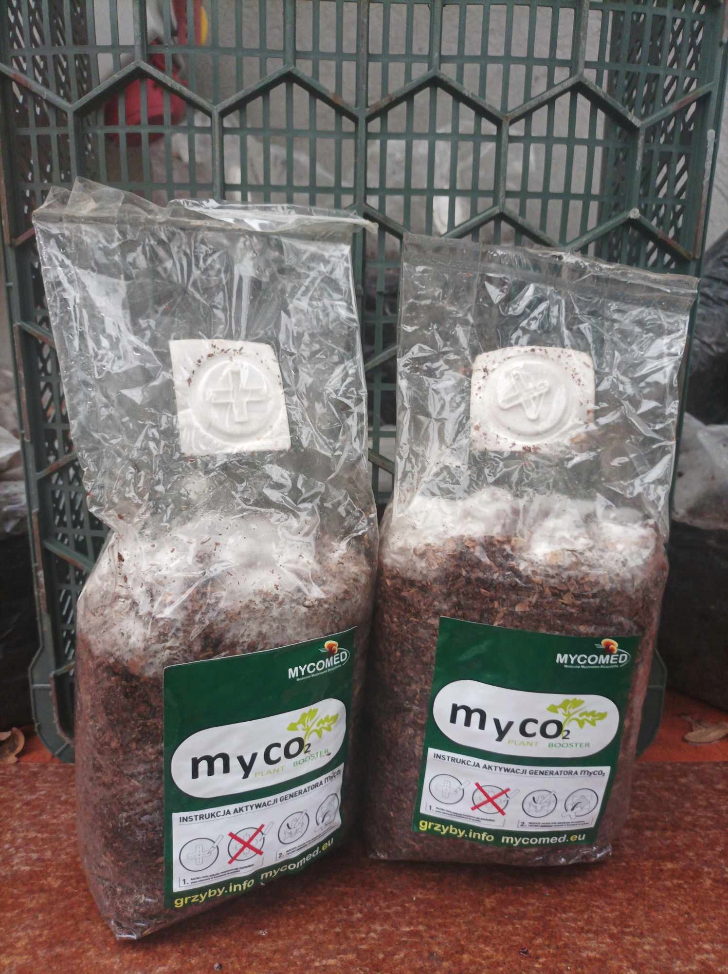 Generator CO2 Mini 2x1 kg do upr. roślin -Mycomed