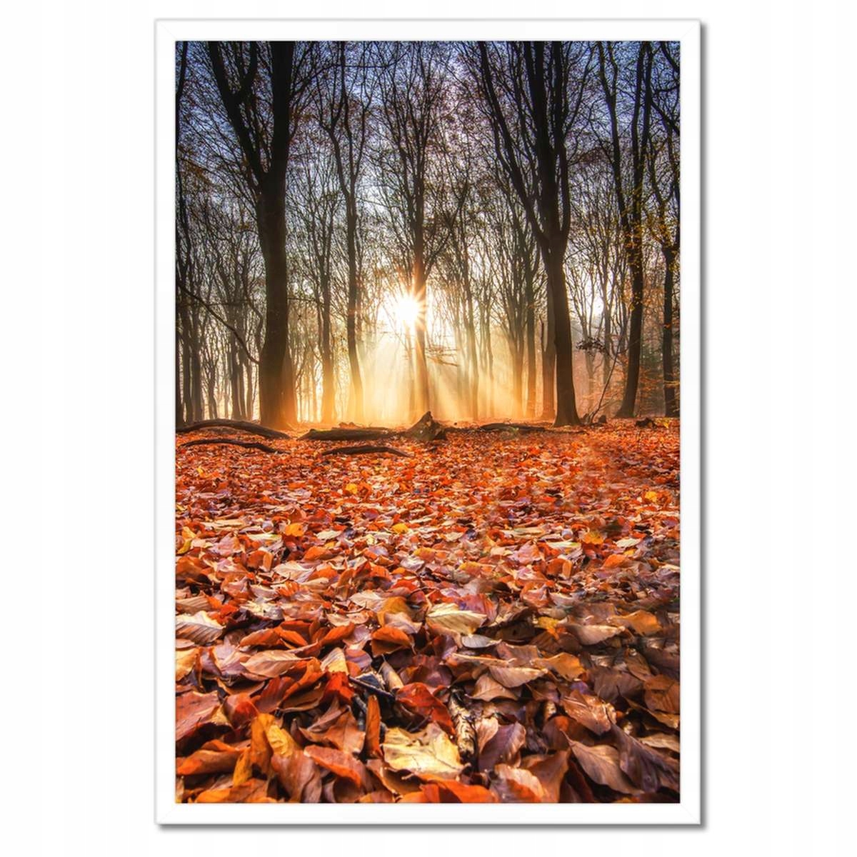 Plakáty v rámu 40x60 Podzimní pohled Krajina