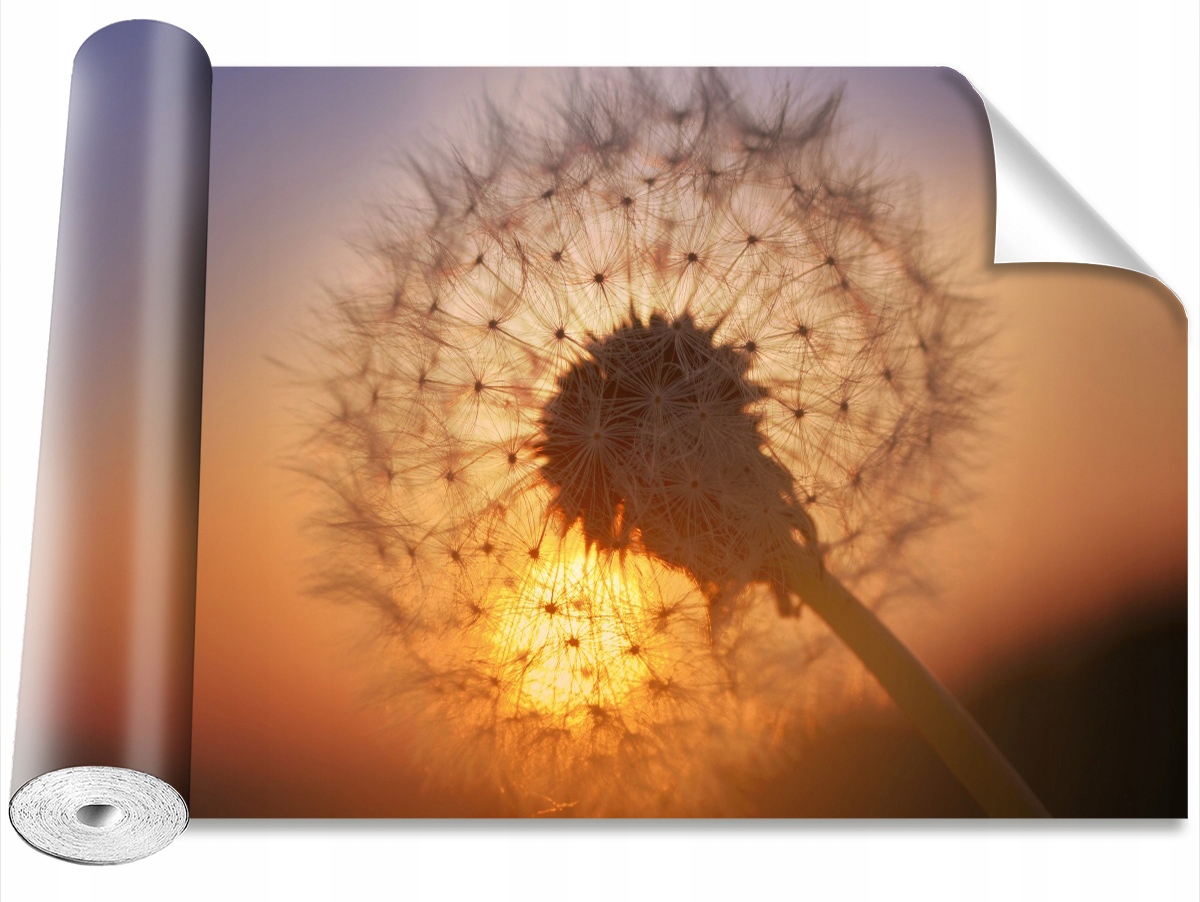 

Tapeta Samoprzylepna MagicStick Dmuchawiec 104x70