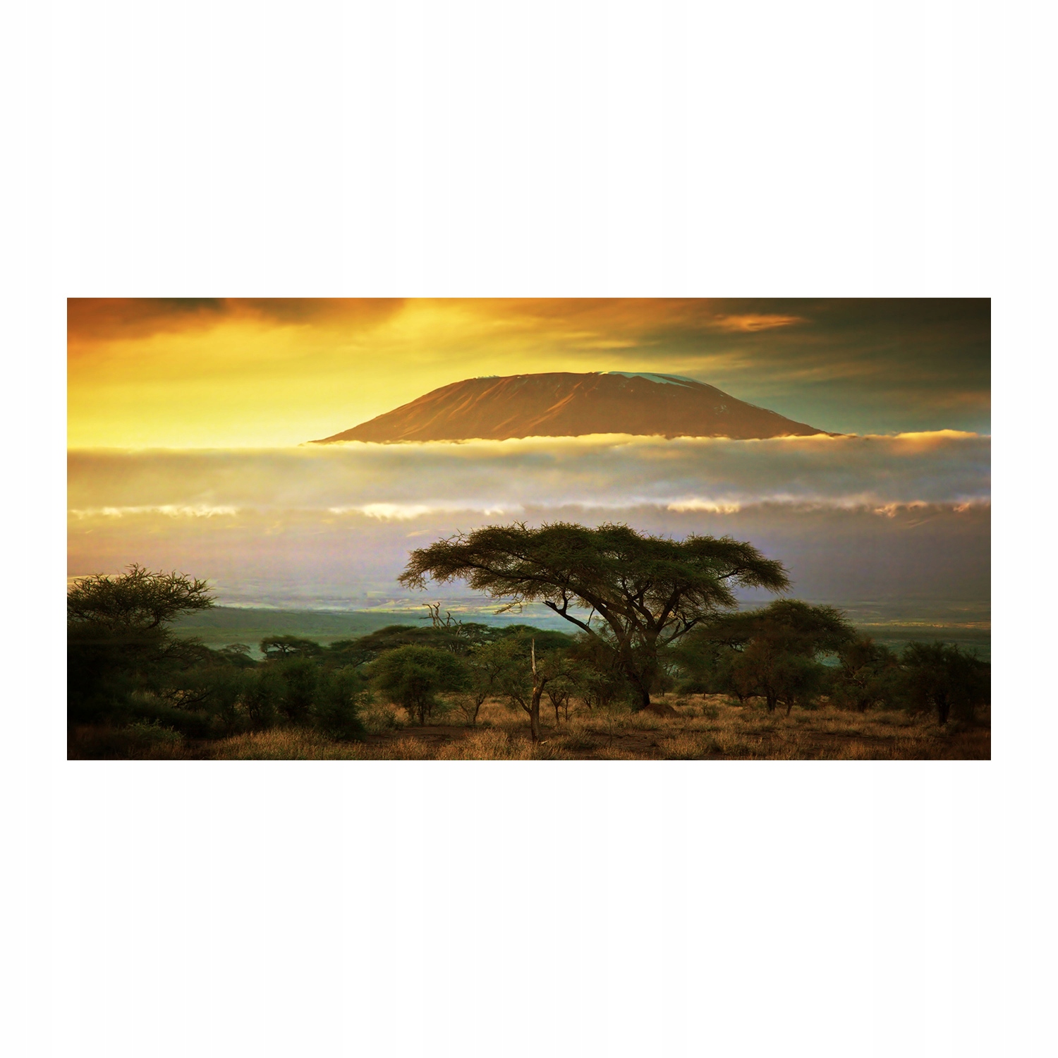 

Foto-obraz akrylowy Kilimandżaro Kenia 140x70 cm
