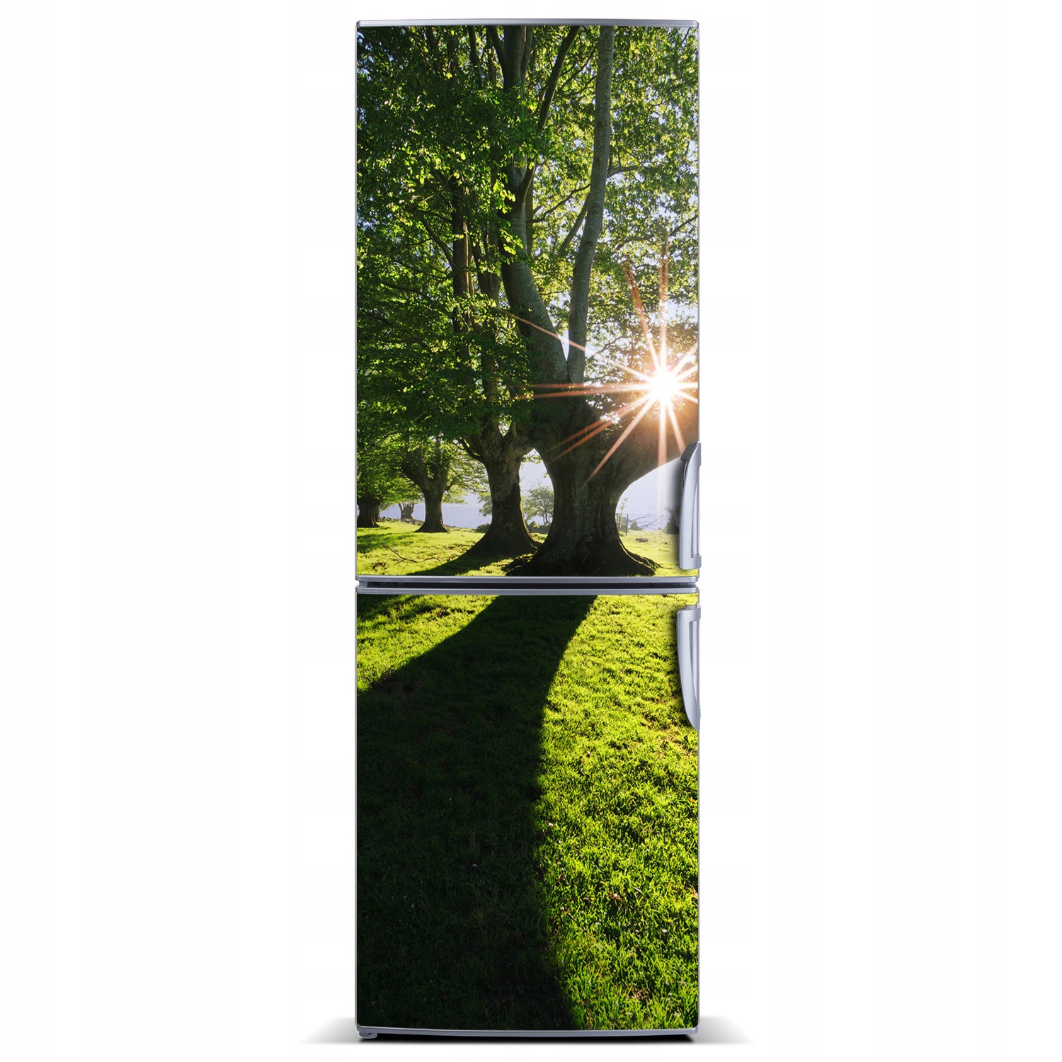 

Magnes Tapeta na lodówkę Krajobrazy Park 60x180