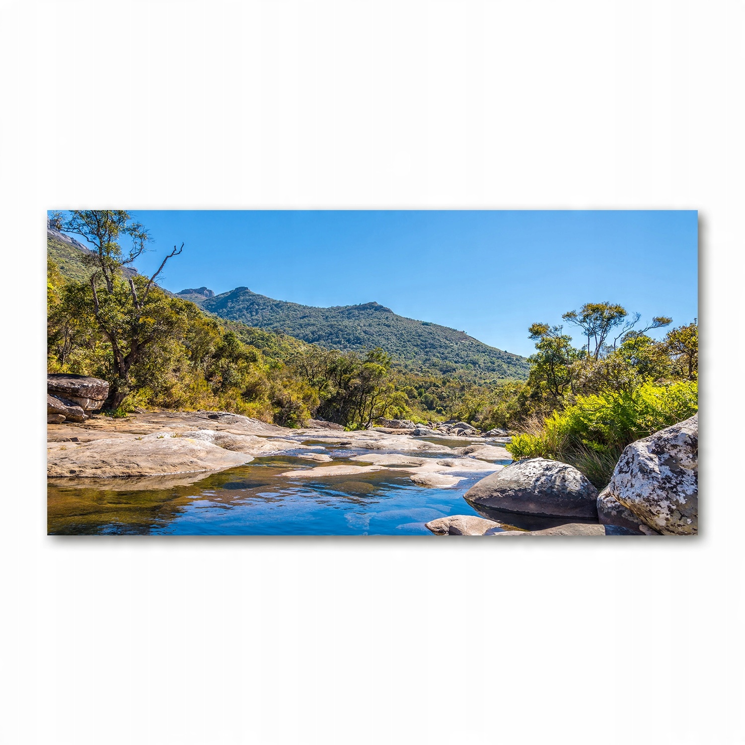 

Foto obraz akryl zdjęcie Rzeka w lesie 120X60 cm