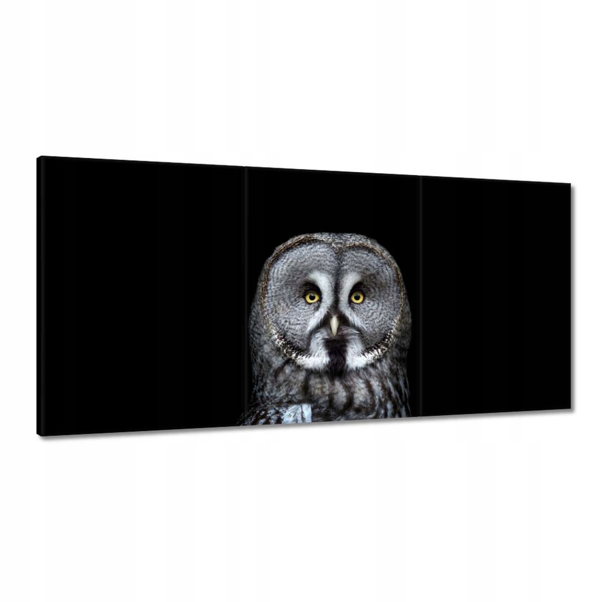 Obrazy 180x90 Veľká šedá sova
