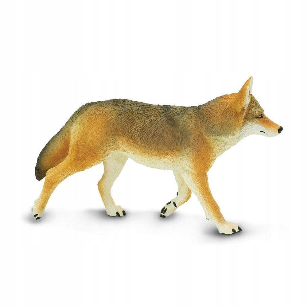 

Kojot - Coyote - Safari Ltd. - 113089 - Delux