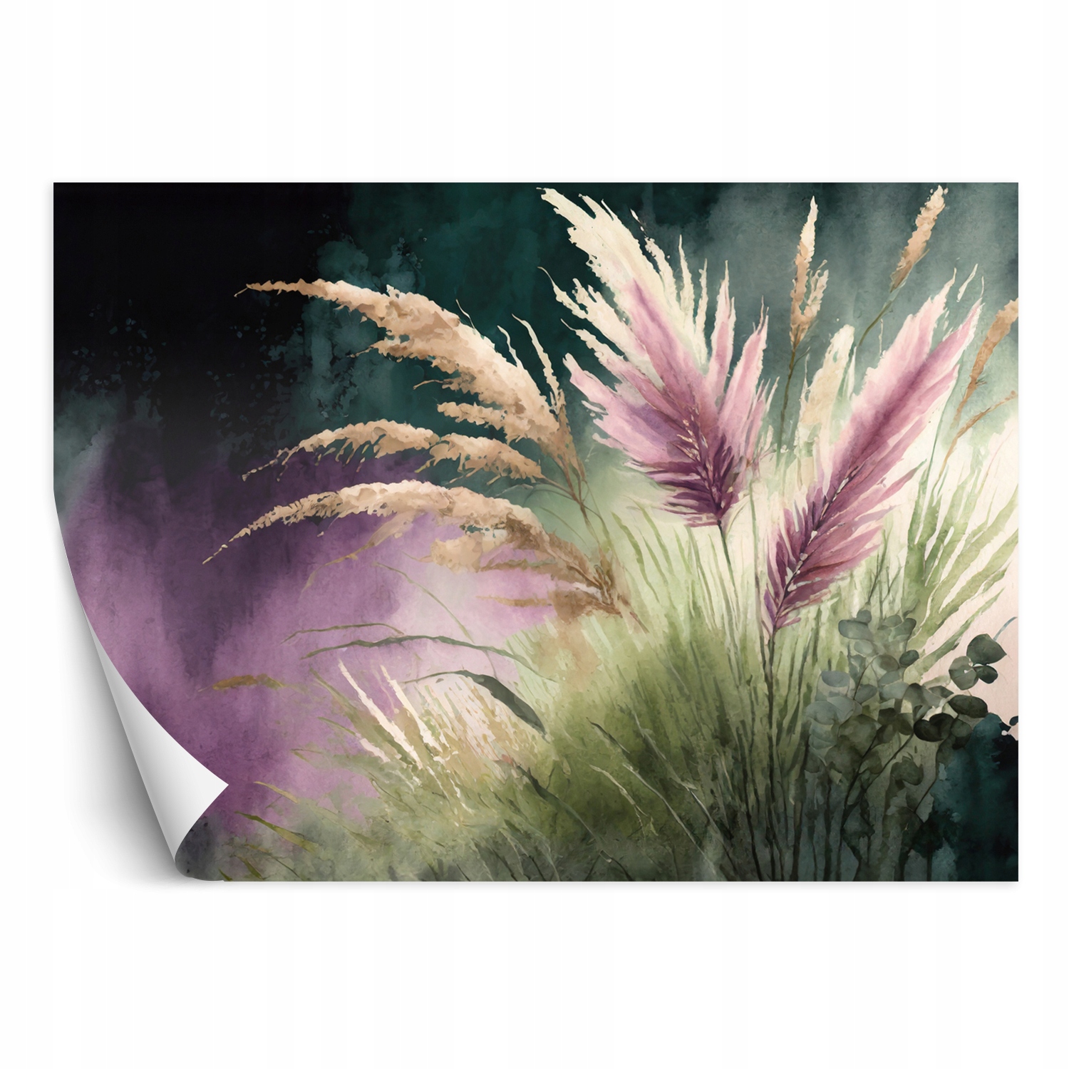 Fototapeta, Botanika Trawa pampasowa Natura 350x245