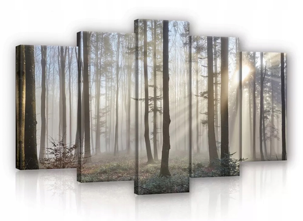 Obraz Na Plátně Canvas 100x60 Les Stromy Slunce