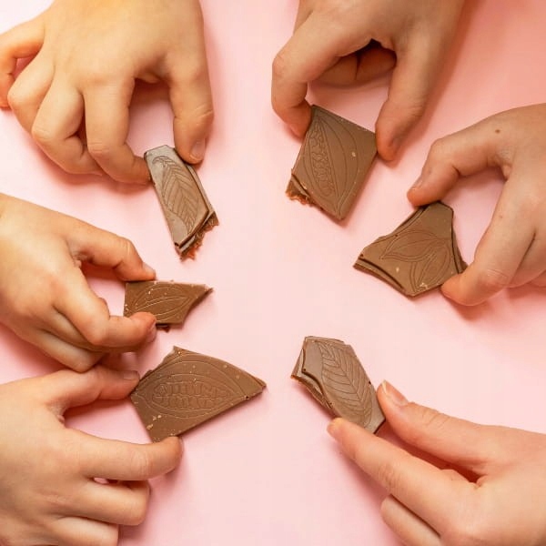 NATURALNIE ZDROWI KOSTKA ROLLSOWA CZEKOLADA BEZ CUKRU POSYPKA ROLLSOWA 50g Kod producenta 5904024000167