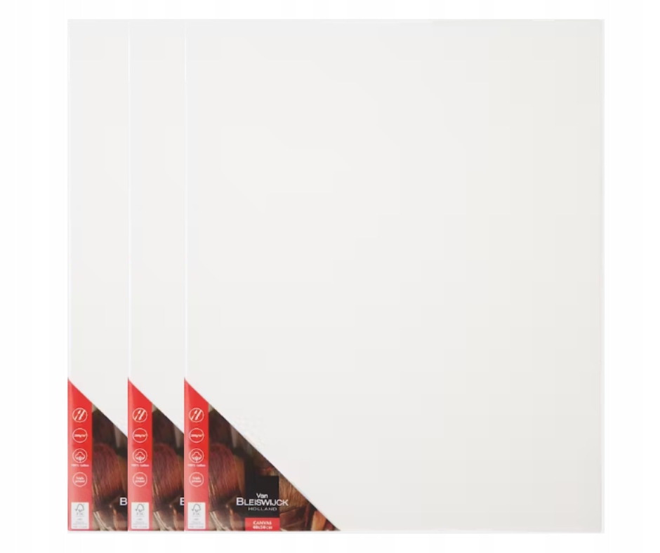 Profesionální malířské plátno 40 x 50 cm 3 kusy