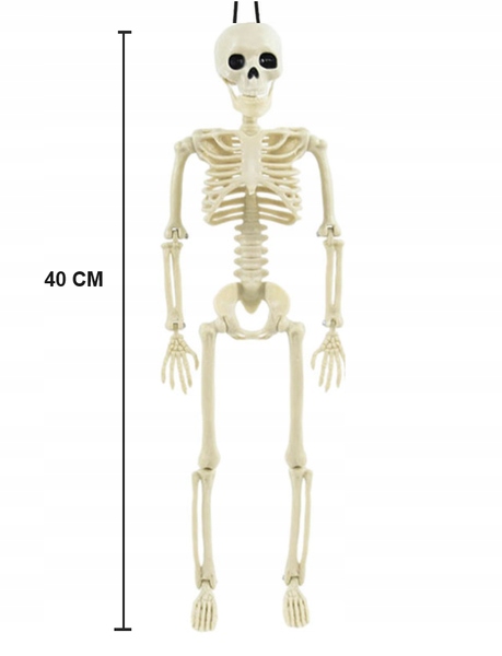 DEKORACJA WISZĄCA SZKIELETOR HALLOWEEN 40 CM Marka Imchex