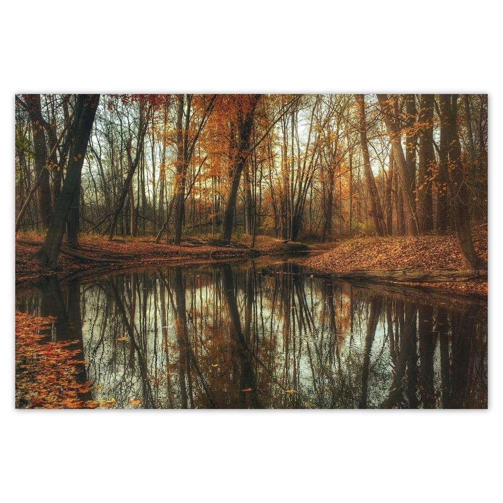 

Plakaty 60x40 Jesienny pejzaż Krajobraz