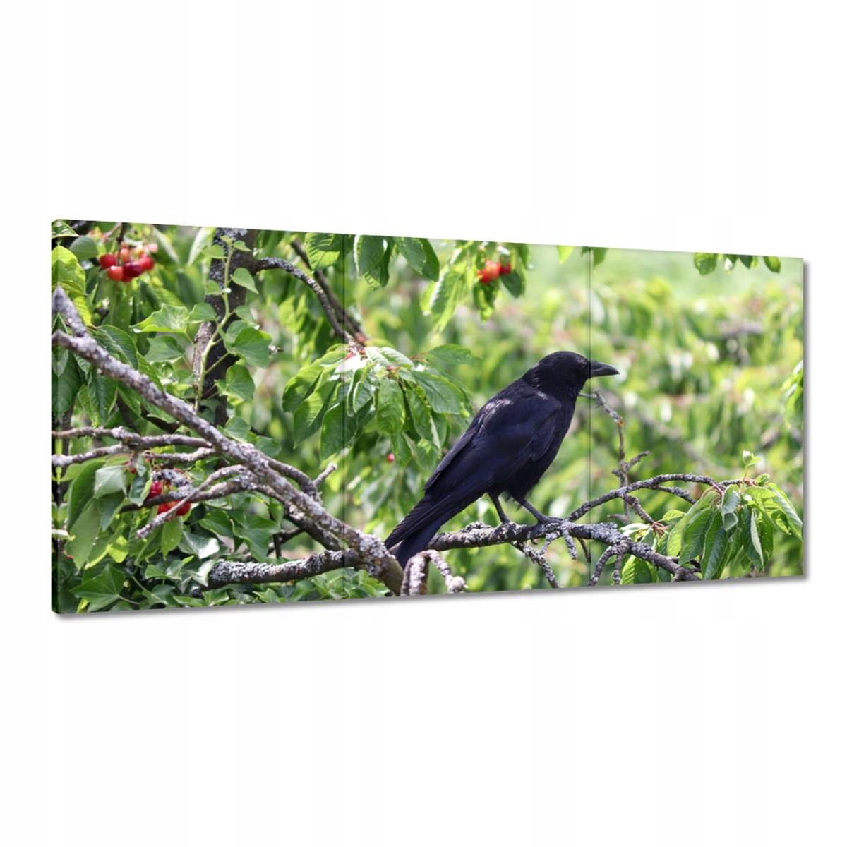 Obrazy 180x90 Vtáky Vtáky