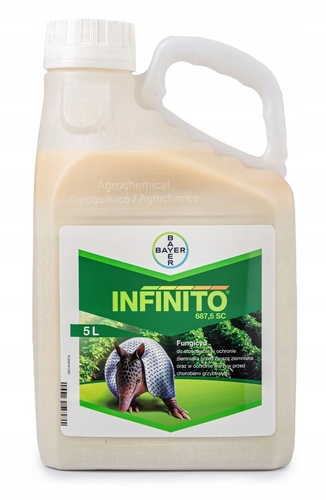 Infinito 687,5SC 5L na Zarazę Alternariozę Ziemniaka Ogórka Cebuli dw2027r.