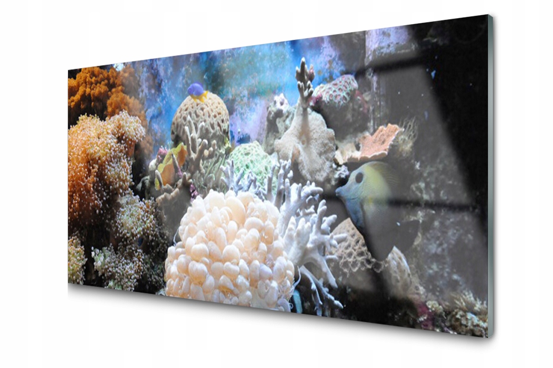 

Panel szklany Płytka Rafa Koralowa Morze 140x70