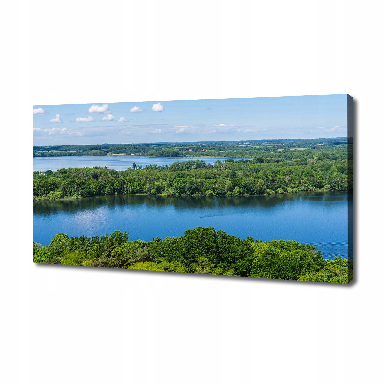 

Foto obraz na płótnie Las nad jeziorem 140x70 cm