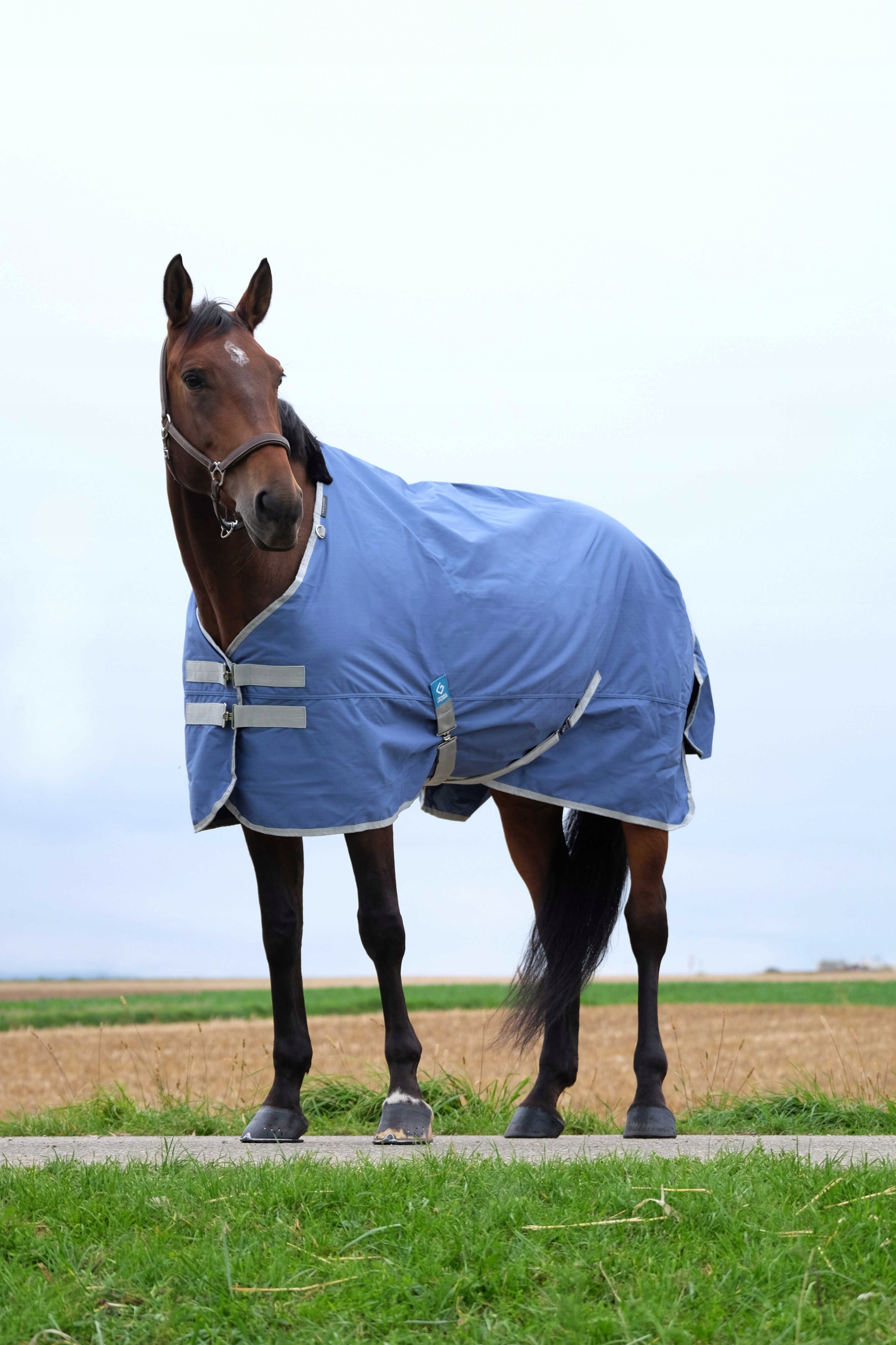 Derka przeciwdeszczowa Equithème Tyrex 600D Recyclée blue 165cm