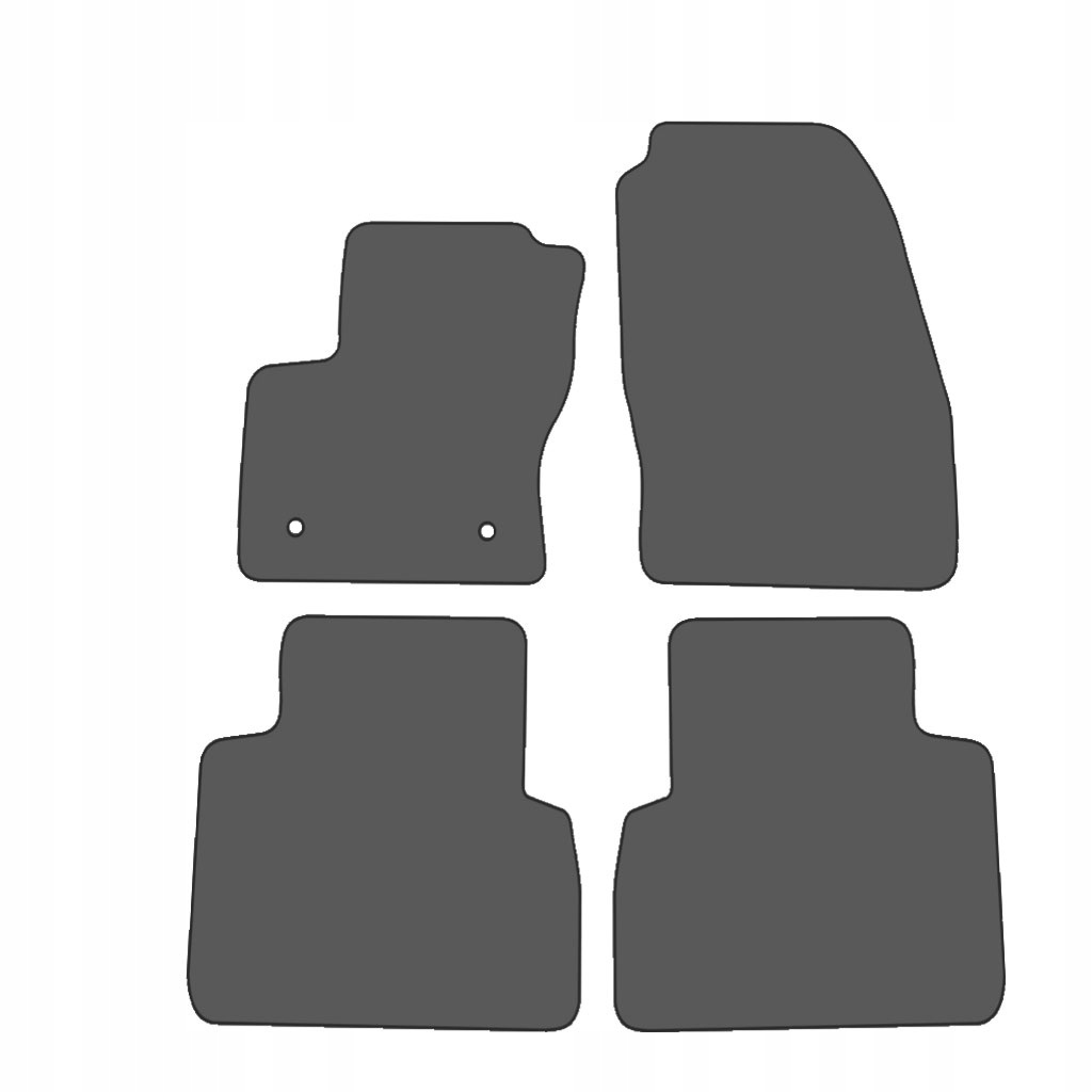 FORD C-MAX 2011-Велюрові килимки