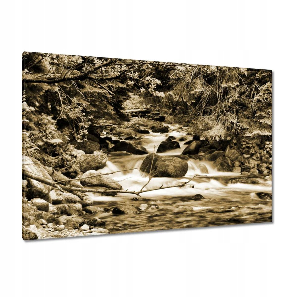 Obrazy 120x80 Tatry Polské hory Pohled