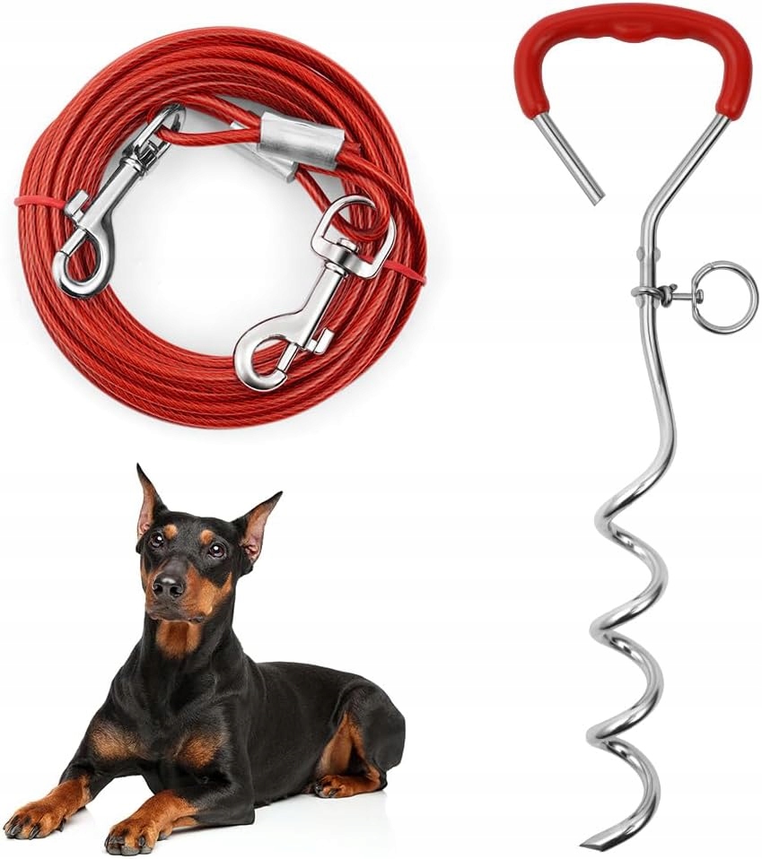 Kabel Pro Vázání Psa Se Spirálovým Uzemňovacím Kroužkem Na Dvůr