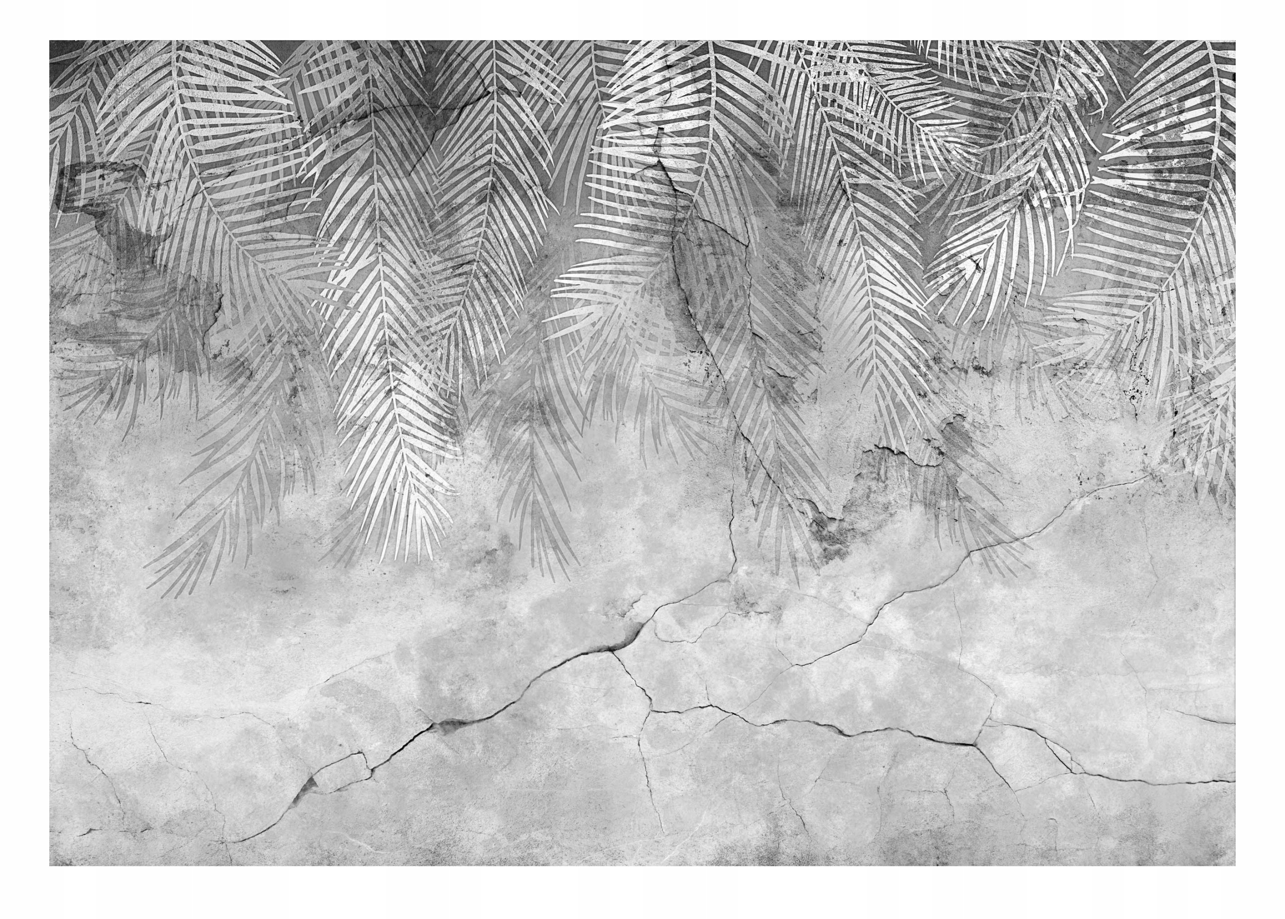 Fototapeta Listy Palmy Beton Mur Salon 416x254